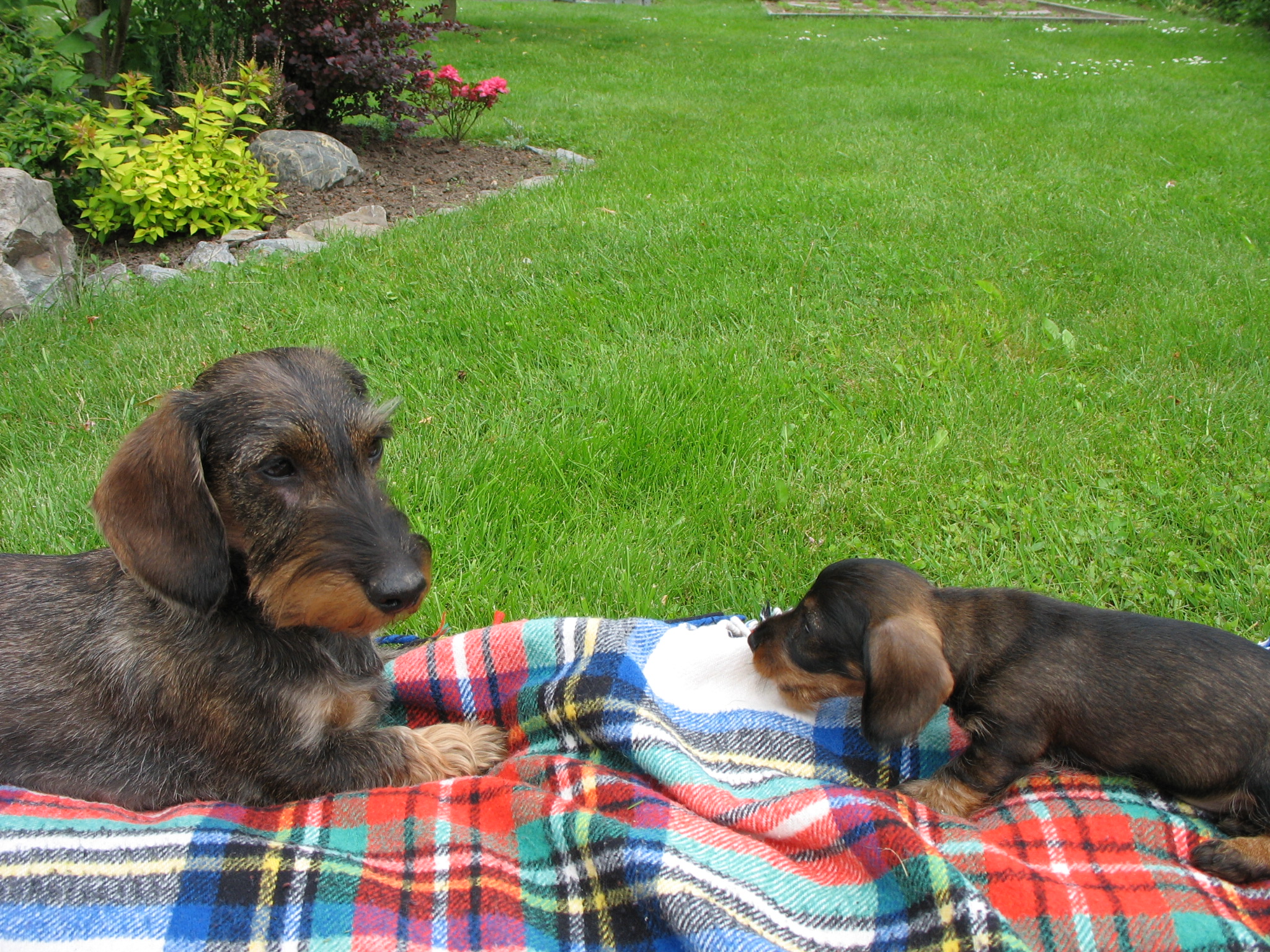Claudie a Ester